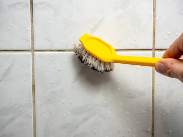 Best Toxic Mold Removal  in Quinnipiac University, CT