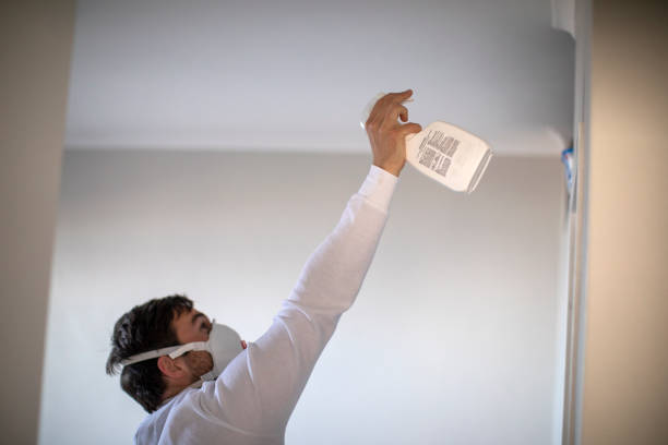 Best Mold Removal Company Near Me  in Quinnipiac University, CT
