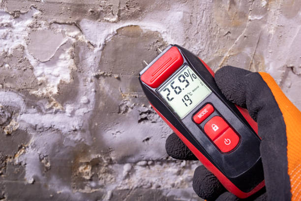 Best Black Mold Removal  in Quinnipiac University, CT