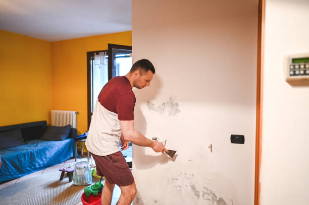  Quinnipiac University, CT Mold Removal Pros